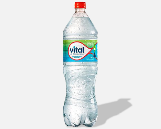 Vital Sin Gas 1.6lt